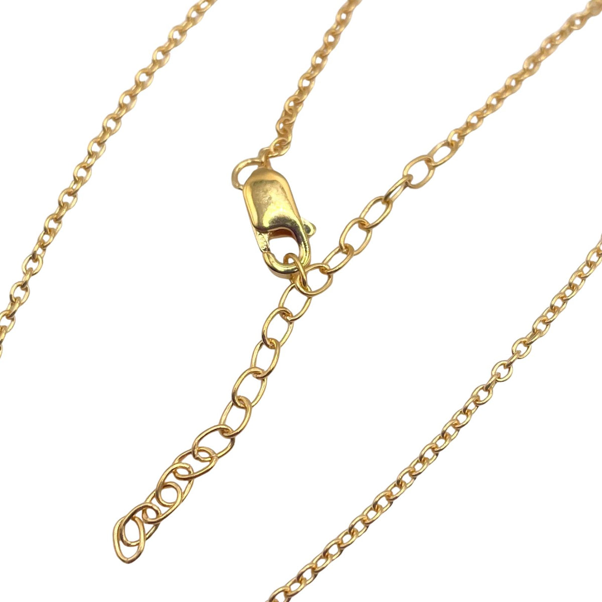 A close-up of a gold chain necklace with a lobster clasp and extender link, shown on a plain white background.
