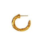 Amy Delson gold hoop earring side view